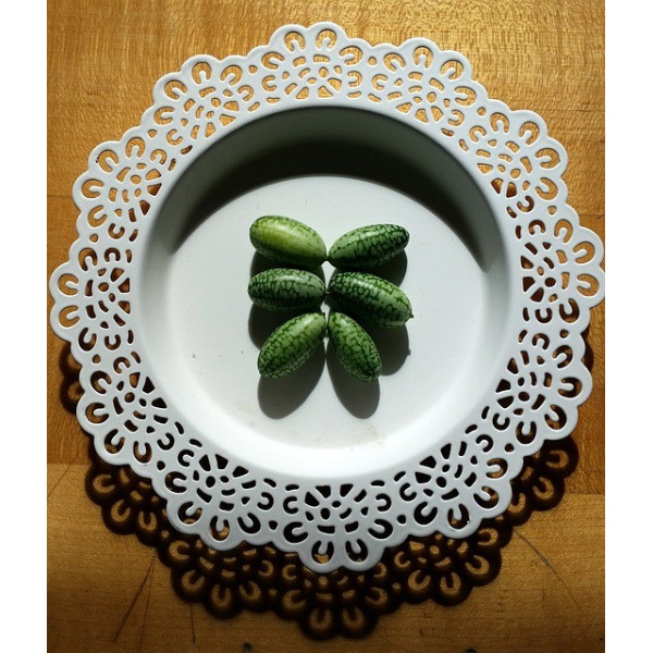 Melothria scabra " cucamelon" 