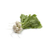 Navet blanc rond boule de neige 