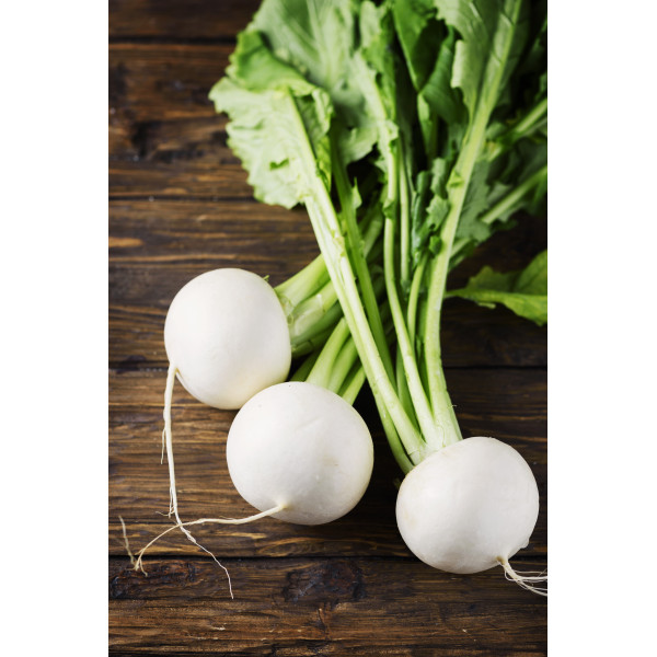 Navet blanc rond boule de neige 