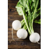 Navet blanc rond boule de neige 