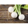 Navet blanc rond boule de neige 