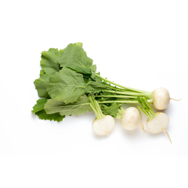 Navet blanc rond boule de neige 