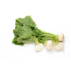 Navet blanc rond boule de neige 
