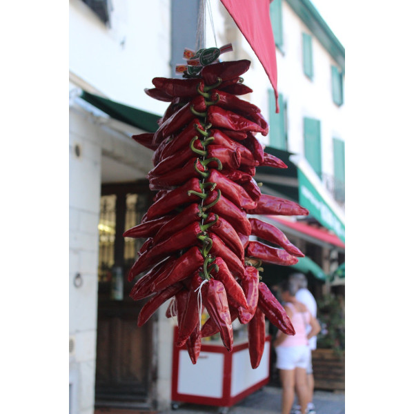 Piment basque Glorria dit d'Espelette 