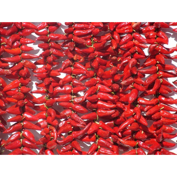 Piment basque Glorria dit d'Espelette 