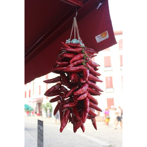 Piment basque Glorria dit d'Espelette 