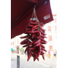 Piment basque Glorria dit d'Espelette 