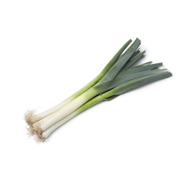 Poireau géant précoce 