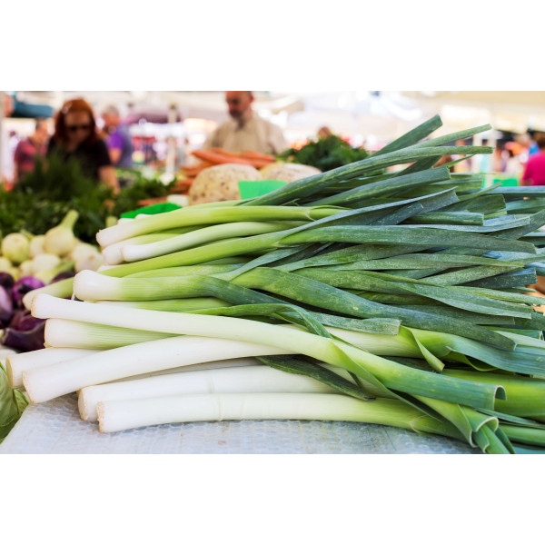 Poireau gros long d'été 
