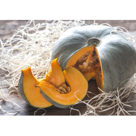 Potiron bleu de Hongrie 