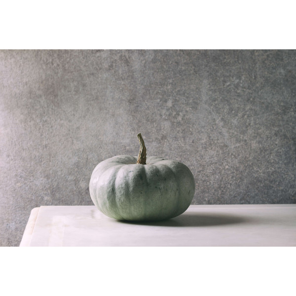 Potiron bleu de Hongrie 