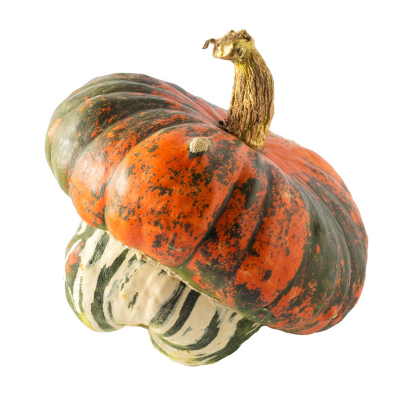 Potiron giraumon-turban turc    