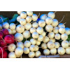 Radis rond blanc 