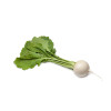 Radis rond blanc 