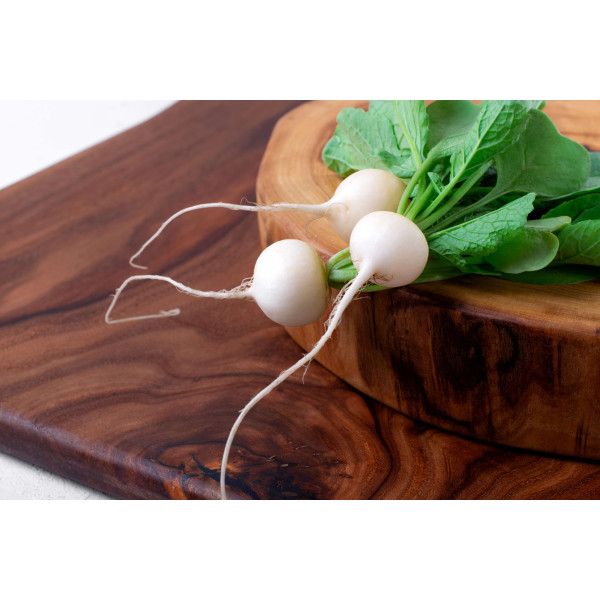 Radis rond blanc 