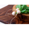 Radis rond blanc 