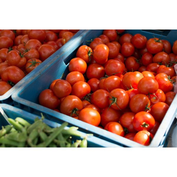 Tomate merveille des marchés 