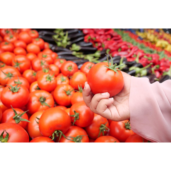 Tomate merveille des marchés 