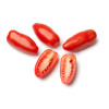 Tomate san marzano 
