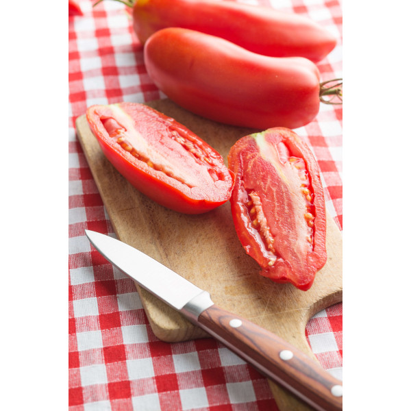 Tomate san marzano 