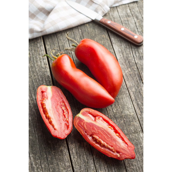 Tomate san marzano 