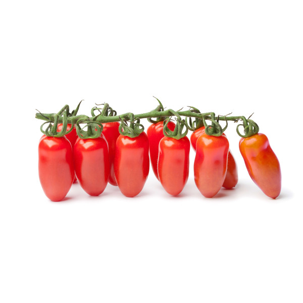 Tomate san marzano 