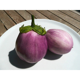 Aubergine ronde blanc strié de rose 