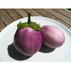 Aubergine ronde blanc strié de rose 