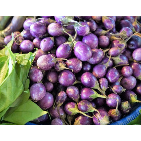 Aubergine ronde blanc strié de rose  2