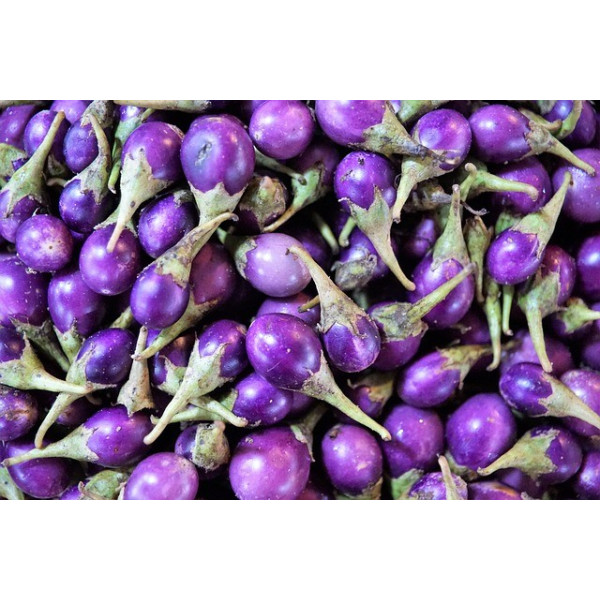 Aubergine ronde blanc strié de rose 