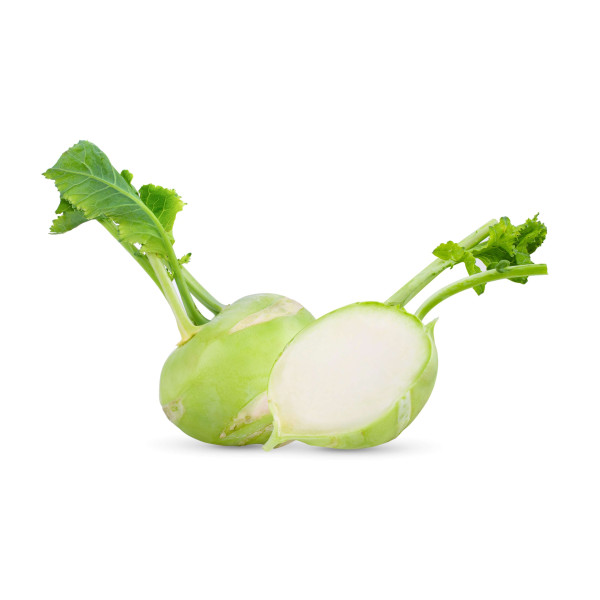 Chou rave blanc de Vienne 