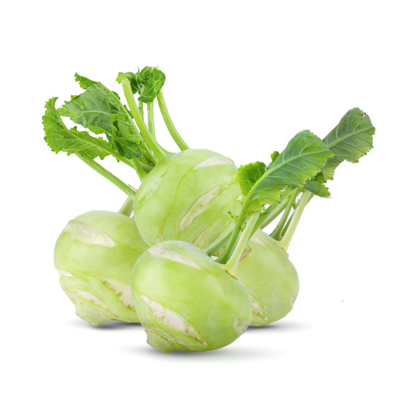 Chou rave blanc de Vienne 