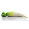 Carotte fourragère blanche collet vert 