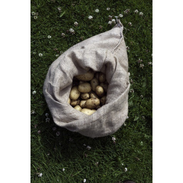 Sac en jute contenance 25kg 51*79cm  
