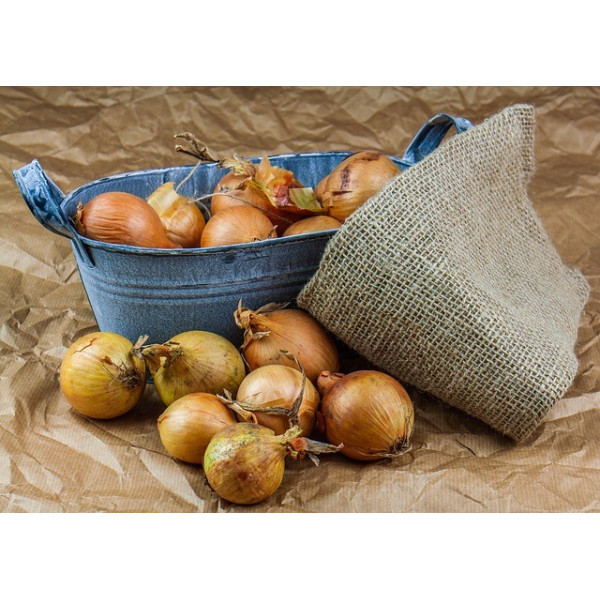 Sac en jute contenance 25kg 51*79cm  