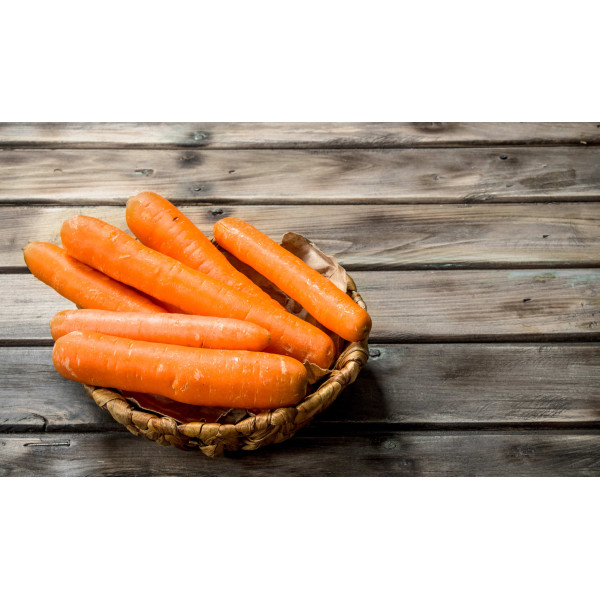 Carotte de Carentant 