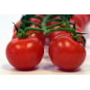Tomate hybride Fandango 