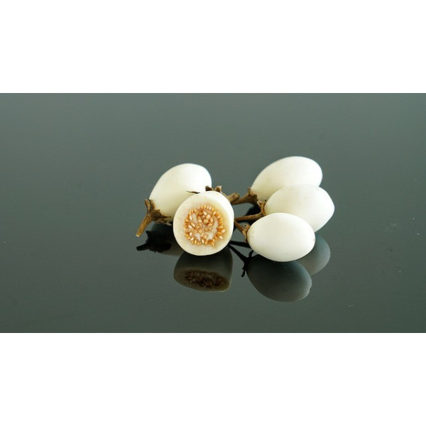 Graines de Aubergine blanche à œufs | Graines de Style