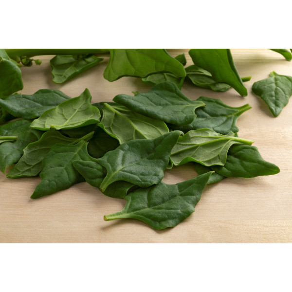 Graines de Tétragone cornue | Graines de Style