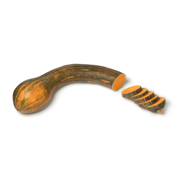 Graines de Courge longue de Nice | Graines de Style