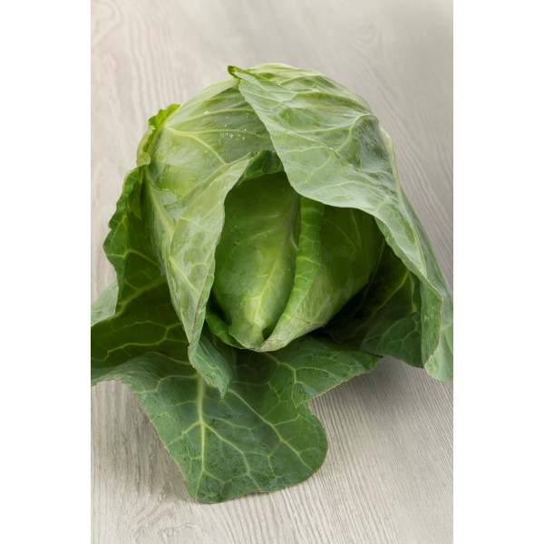 Graines de Chou Cabus Cœur de Bœuf moyen | Graines de Style