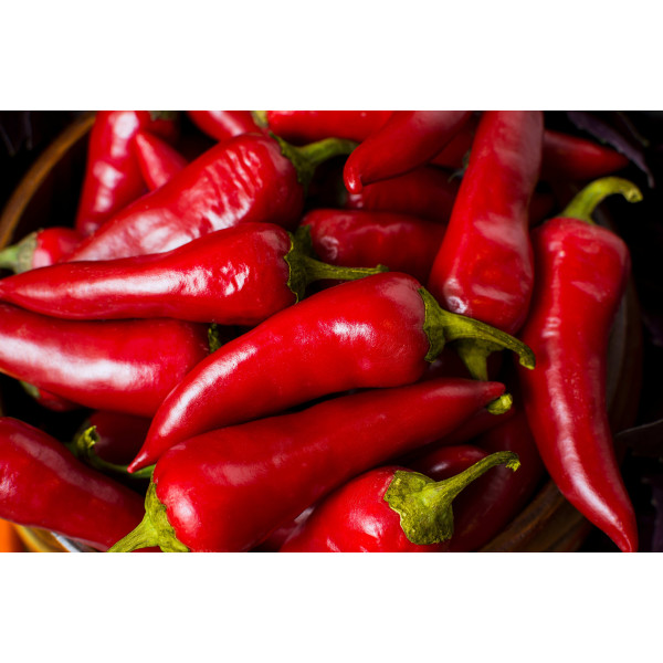 Graines de Piment jalapeno Mexicain