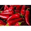 Graines de Piment jalapeno Mexicain