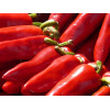 Graines de Piment jalapeno Mexicain