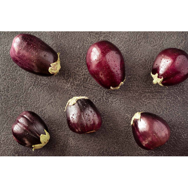 Aubergine ronde de Valence 