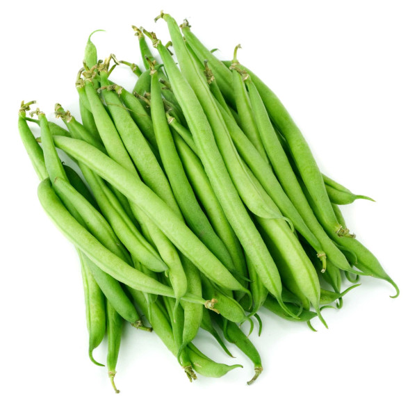 Haricot nain à Filet mangetout Delinel 
