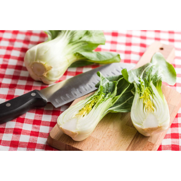 Chou de Chine Pak Choi 