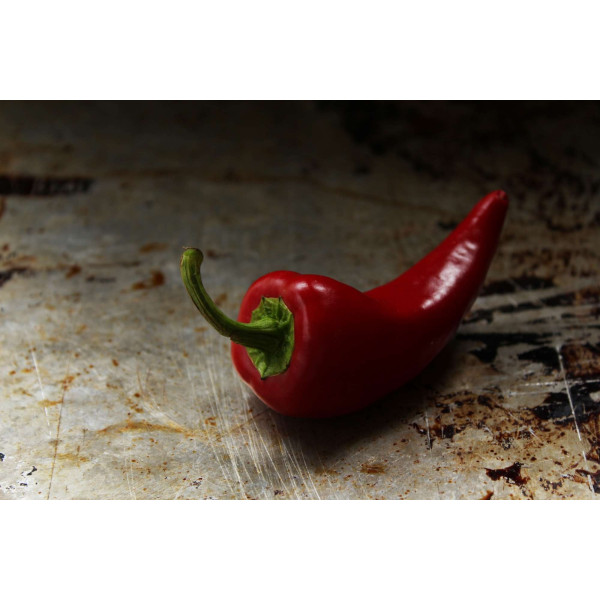 Piment poivron doux corno di Toro Rosso 