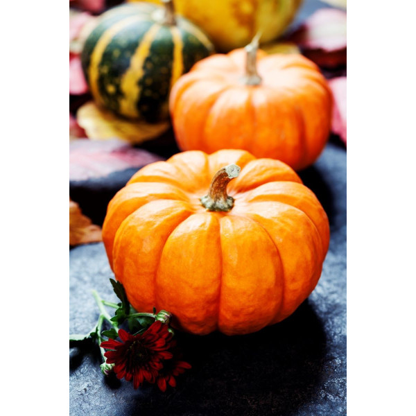 Potiron Australian Butter 