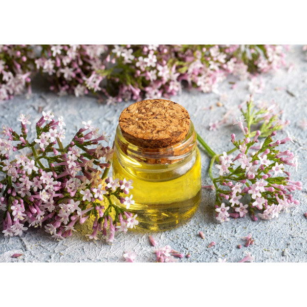 Valeriane Officinale 